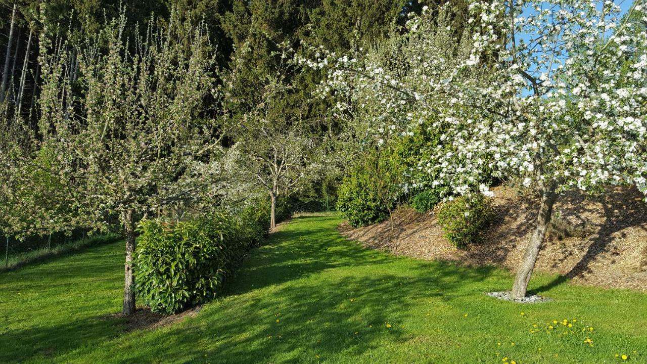 Ferienwohnung Am Waldrand Herdwangen-Schönach Extérieur photo